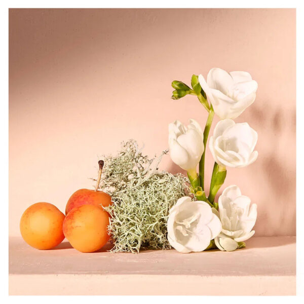 Nomade Chloé - Damenparfum - Eau de Parfum – Bild 3